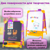 Доска знаний-мольберт двусторонний М1/СН2