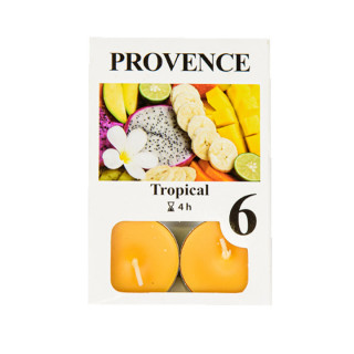 560227/16 Свечи чайные набор 6 шт Тропики (100 шт)